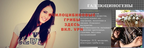 гидра Сосновый Бор