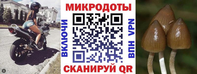 Псилоцибиновые грибы мицелий  Валуйки 
